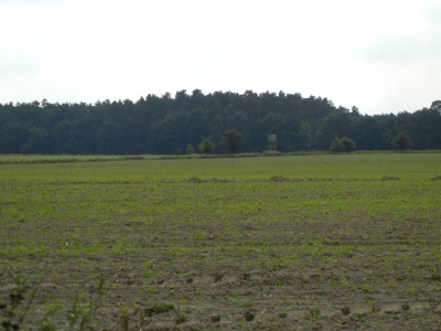 Radweg Neu Vehlefanz