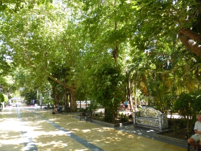 Park de Almeda Marbella Malaga Spanien 2515