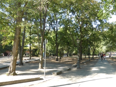 Großer Tiergarten 3918_16