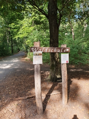 Waldschule Plänterwald 3920