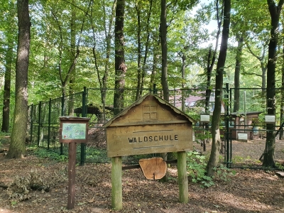 Waldschule Plänterwald 3920_02