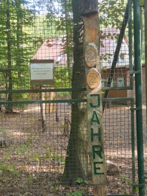 Waldschule Plänterwald 3920_03