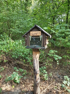 Waldschule Plänterwald 3920_04