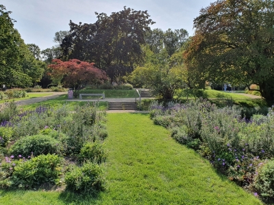 Sommerblumengarten 3920