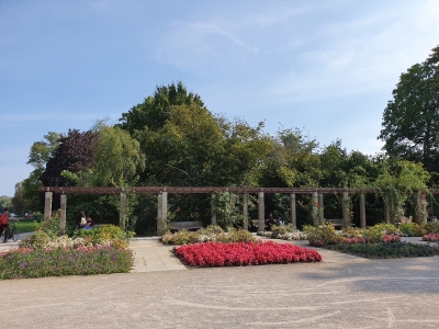 Sommerblumengarten 3920_03