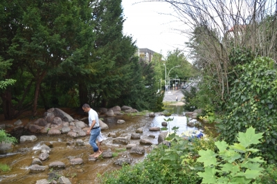 Viktoriapark 2720_14