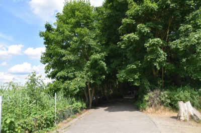 Rübezahl Ferienpark 2521_07