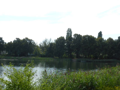 Orankesee Weißensee 3416_07