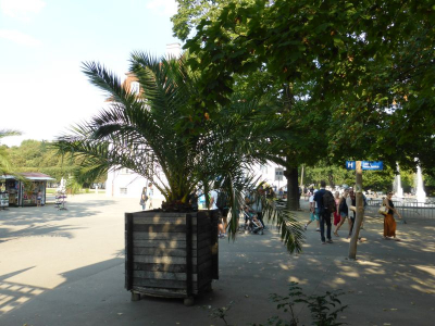 Tierpark Berlin Friedrichsfelde Lichtenberg 3616_06