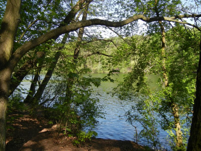 Krumme Lanke Berlin Zehlendorf_02