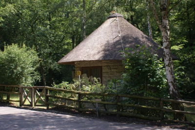 Krumme Lanke Berlin Zehlendorf_29