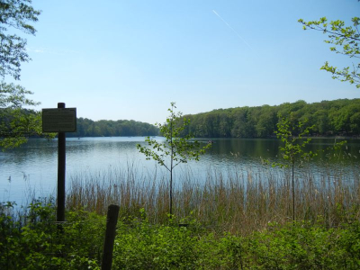 Schlachtensee Berlin Zehlendorf_12