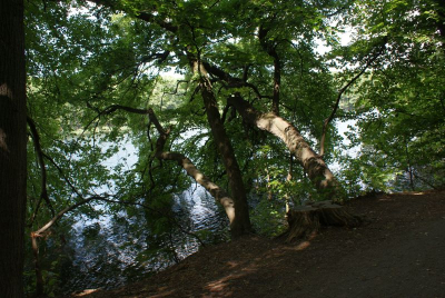 Schlachtensee Berlin Zehlendorf_44
