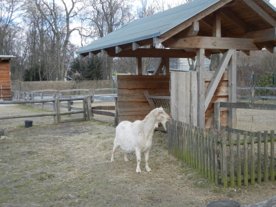 Gutspark Britz Berlin_03