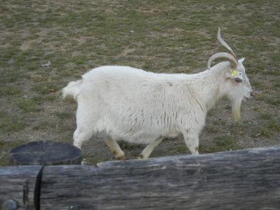 Gutspark Britz Berlin_06