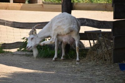 Schloss und Gutspark Britz 2521_23