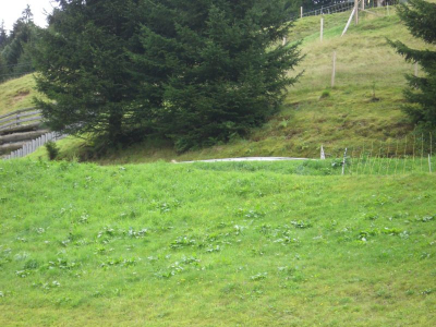 !Hündle Bahn Oberstaufen_02