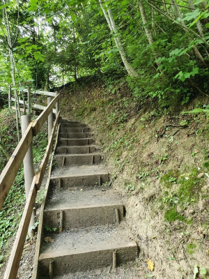 Scheidegger Wasserfälle 2821_16