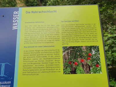 Scheidegger Wasserfälle 2821_18