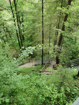 Scheidegger Wasserfälle 2821_25