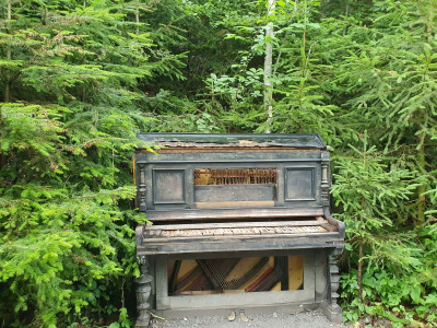 Scheidegger Wasserfälle 2821_41