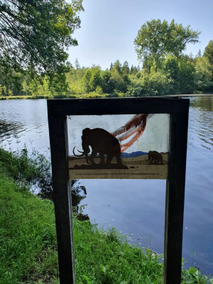 Waldsee Lindenberg 2821_07