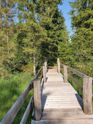 Waldsee Lindenberg 2821_18