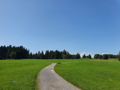 Waldsee Lindenberg 2821_21