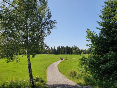 Waldsee Lindenberg 2821_22