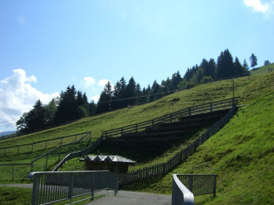 !Adlerwarte Pfänder Lochau