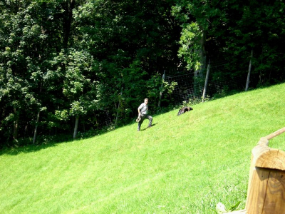 !Adlerwarte Pfänder Lochau_08