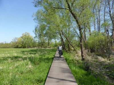 Radweg Lübben-Burg 416_03
