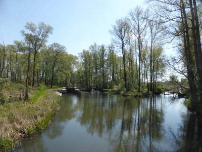 Radweg Lübben-Burg 416_06