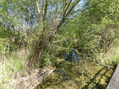 Radweg Lübben-Burg 416_07