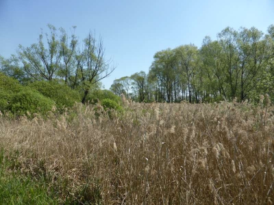 Radweg Lübben-Burg 416_08