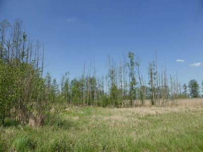 Radweg Lübben-Burg 416_11