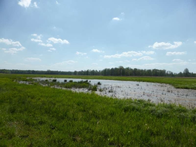 Radweg Lübben-Burg 416_12