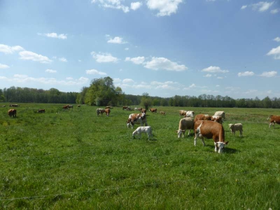 Radweg Lübben-Burg 416_21