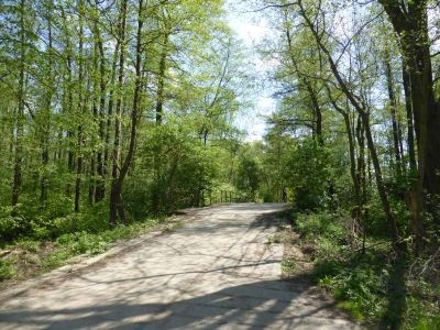 Radweg Lübben-Burg 416_22