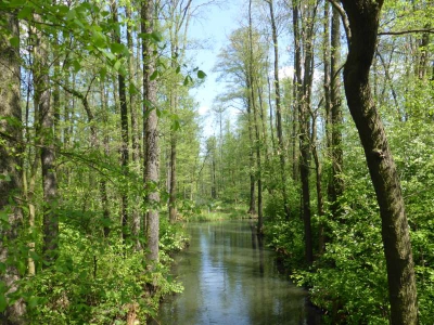 Radweg Lübben-Burg 416_24