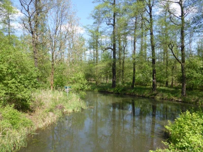 Radweg Lübben-Burg 416_25