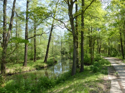 Radweg Lübben-Burg 416_27