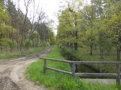 Radweg Lübben-Groß Wasserburg 216