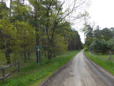 Radweg Lübben-Groß Wasserburg 216_02