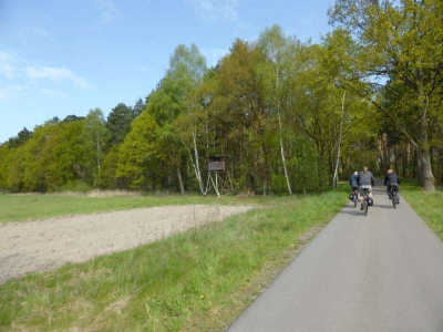 Radweg Lübben-Groß Wasserburg 216_08
