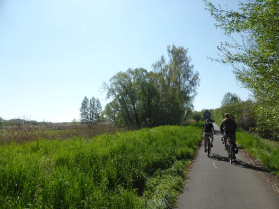 Radweg Lübben-Lübbenau 316