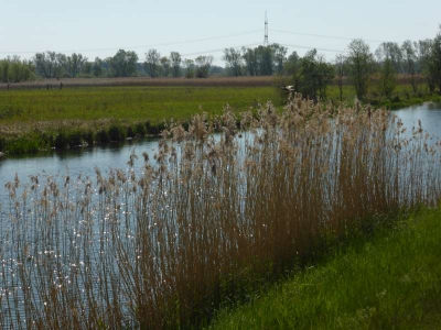 Radweg Lübben-Lübbenau 316_05