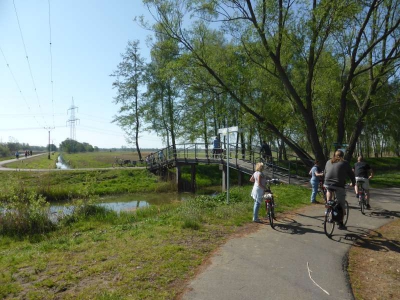 Radweg Lübben-Lübbenau 316_07