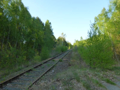 Radweg Schlepzig-Lübben 216_25