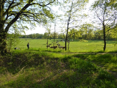 Radweg Schlepzig-Lübben 216_31